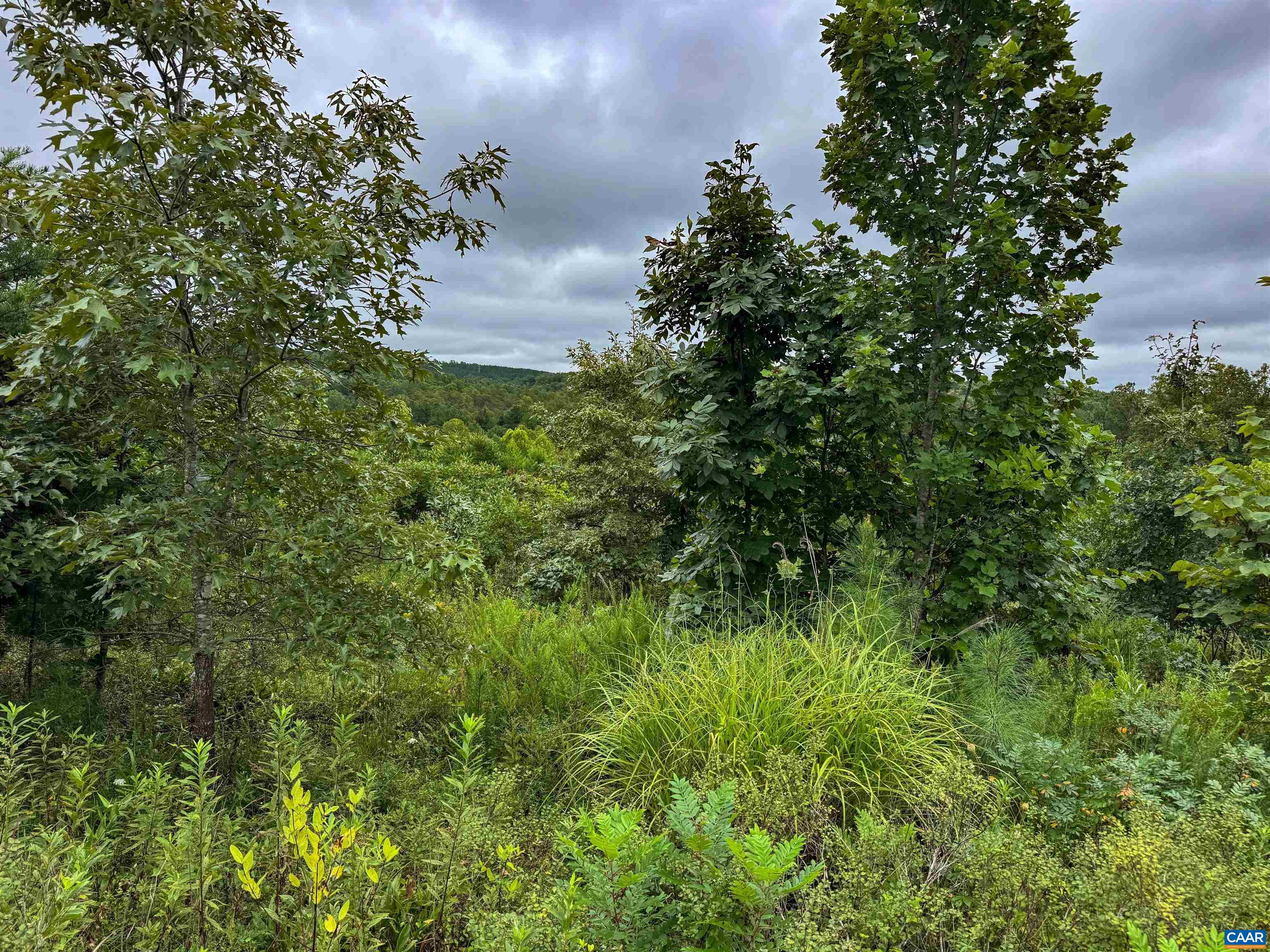 Tba Old Green Mountain Road Esmont, VA 22937 - Photo 29 of 33