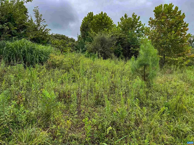 $684,000 | Tba Old Green Mountain Road, Esmont, VA 22937