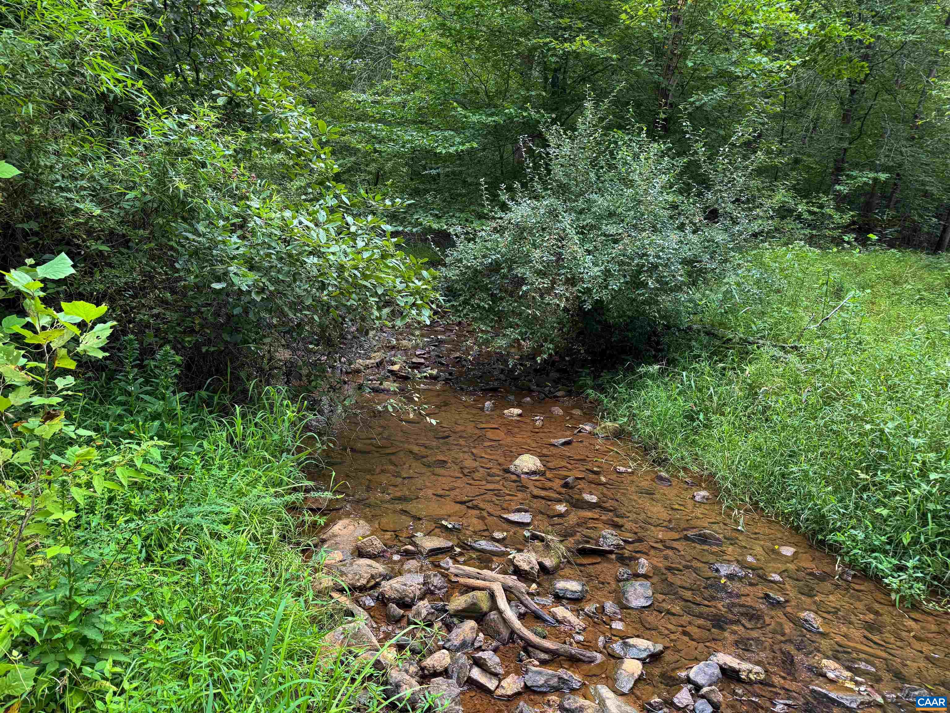 Tba Old Green Mountain Road Esmont, VA 22937 - Photo 4 of 33 a view of a large yard with lots of green space