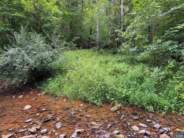 a view of a large yard with lots of green space