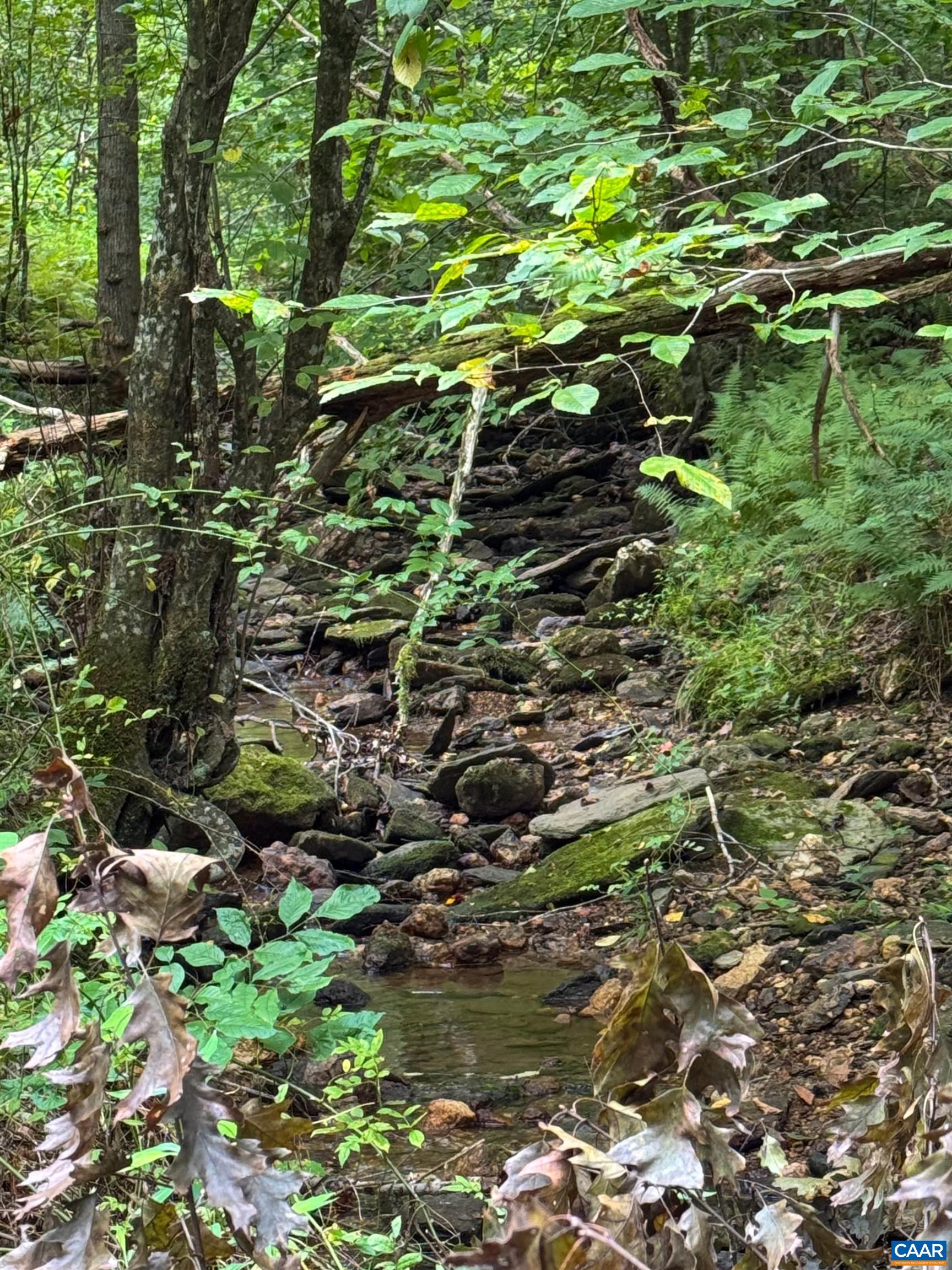 Tba Old Green Mountain Road Esmont, VA 22937 - Photo 6 of 33 a backyard of a house