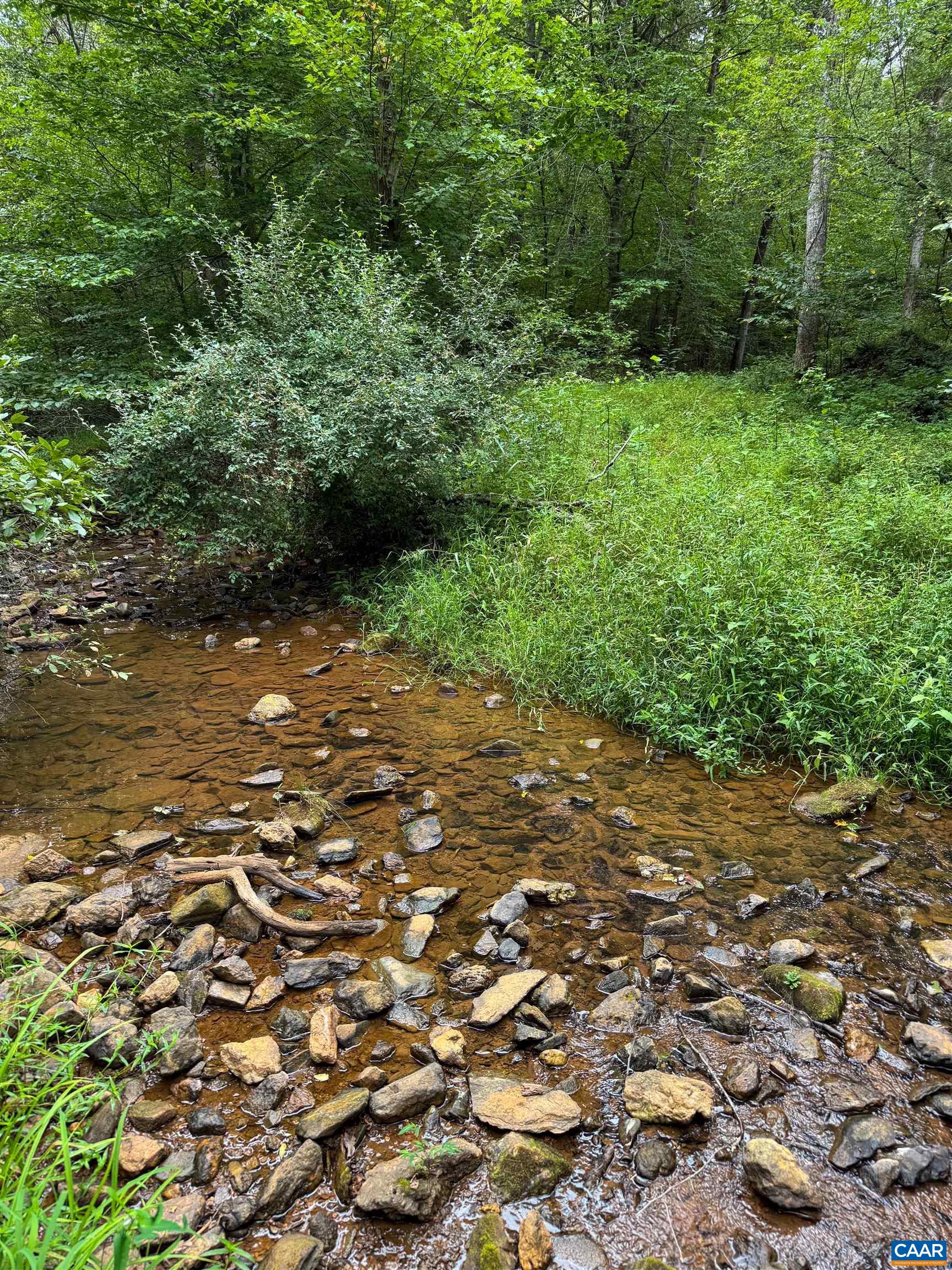 Tba Old Green Mountain Road Esmont, VA 22937 - Photo 7 of 33 a view of a field with plants and trees
