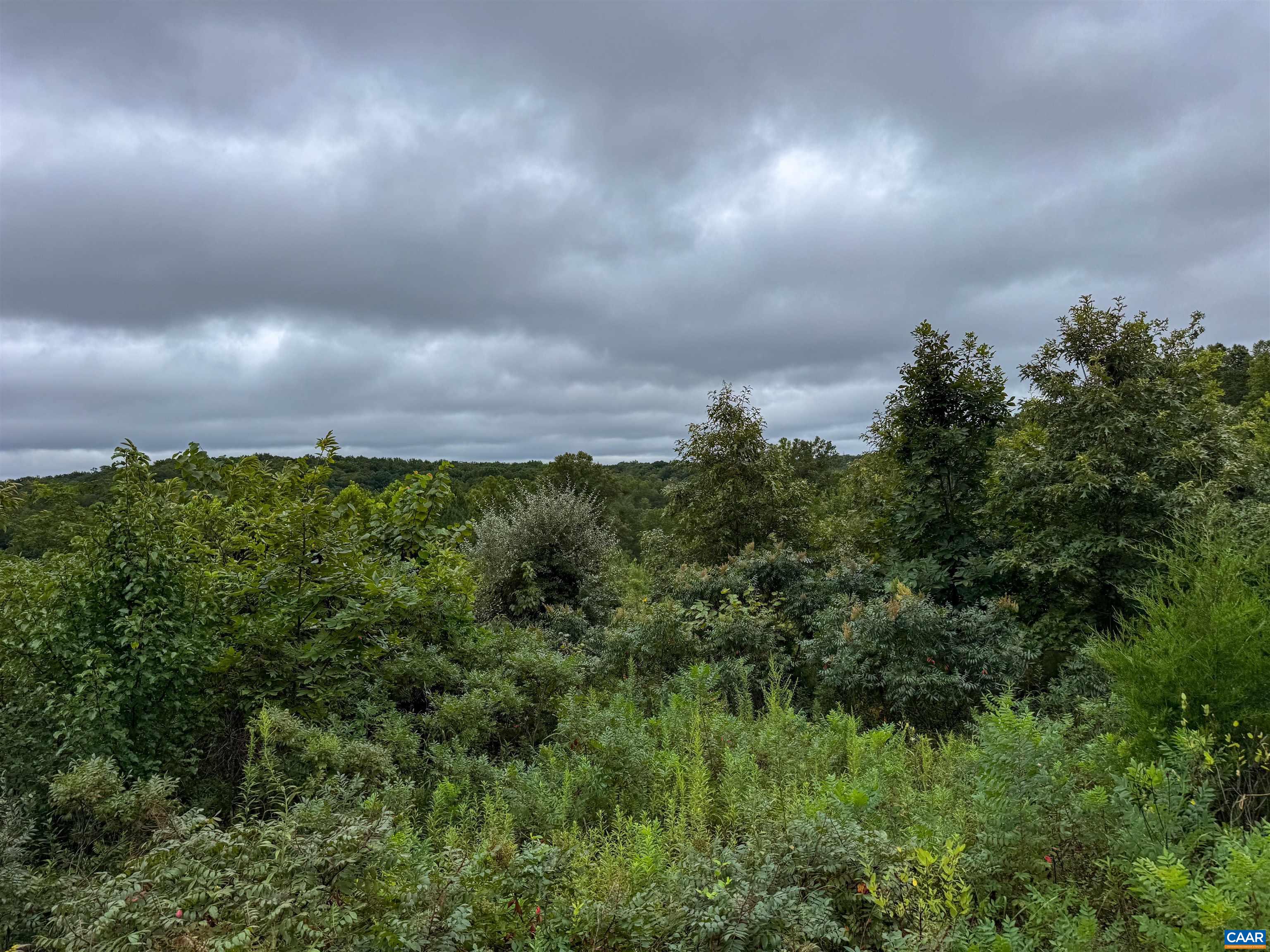 Tba Old Green Mountain Road Esmont, VA 22937 - Photo 10 of 33