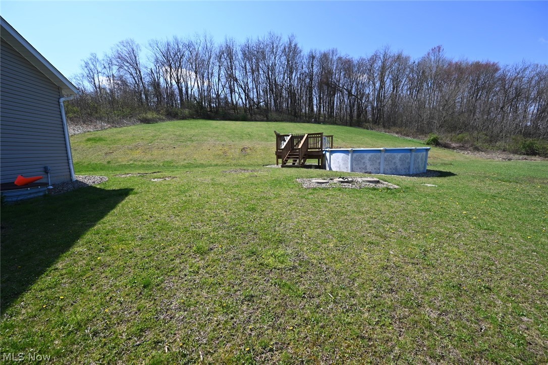 49523 Quay Road Negley, OH 44441 - Photo 32 of 33 Side yard with above ground pool