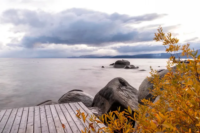 a view of a backyard with wooden floor