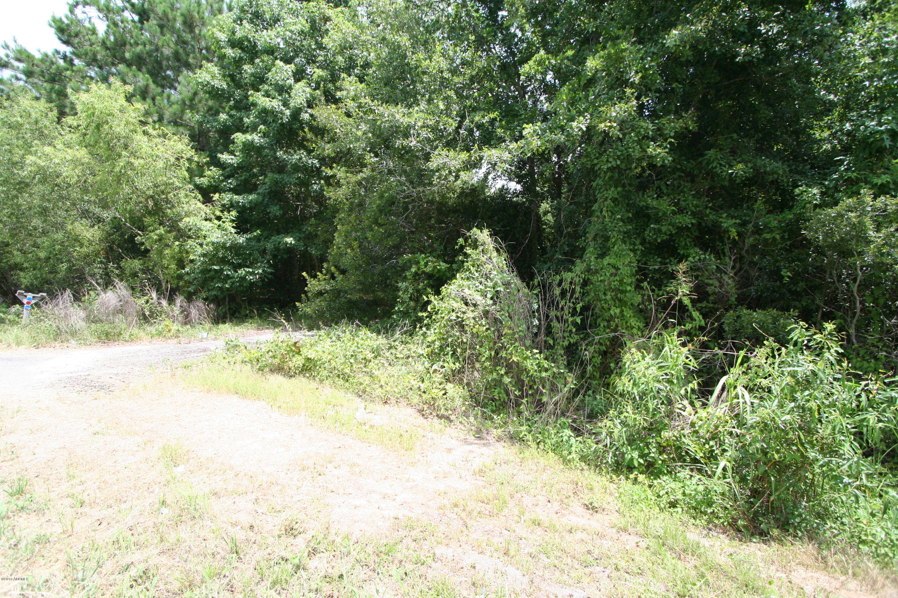168 Castle Rock Road Beaufort, SC 29906 - Photo 3 of 17 IMG_7775