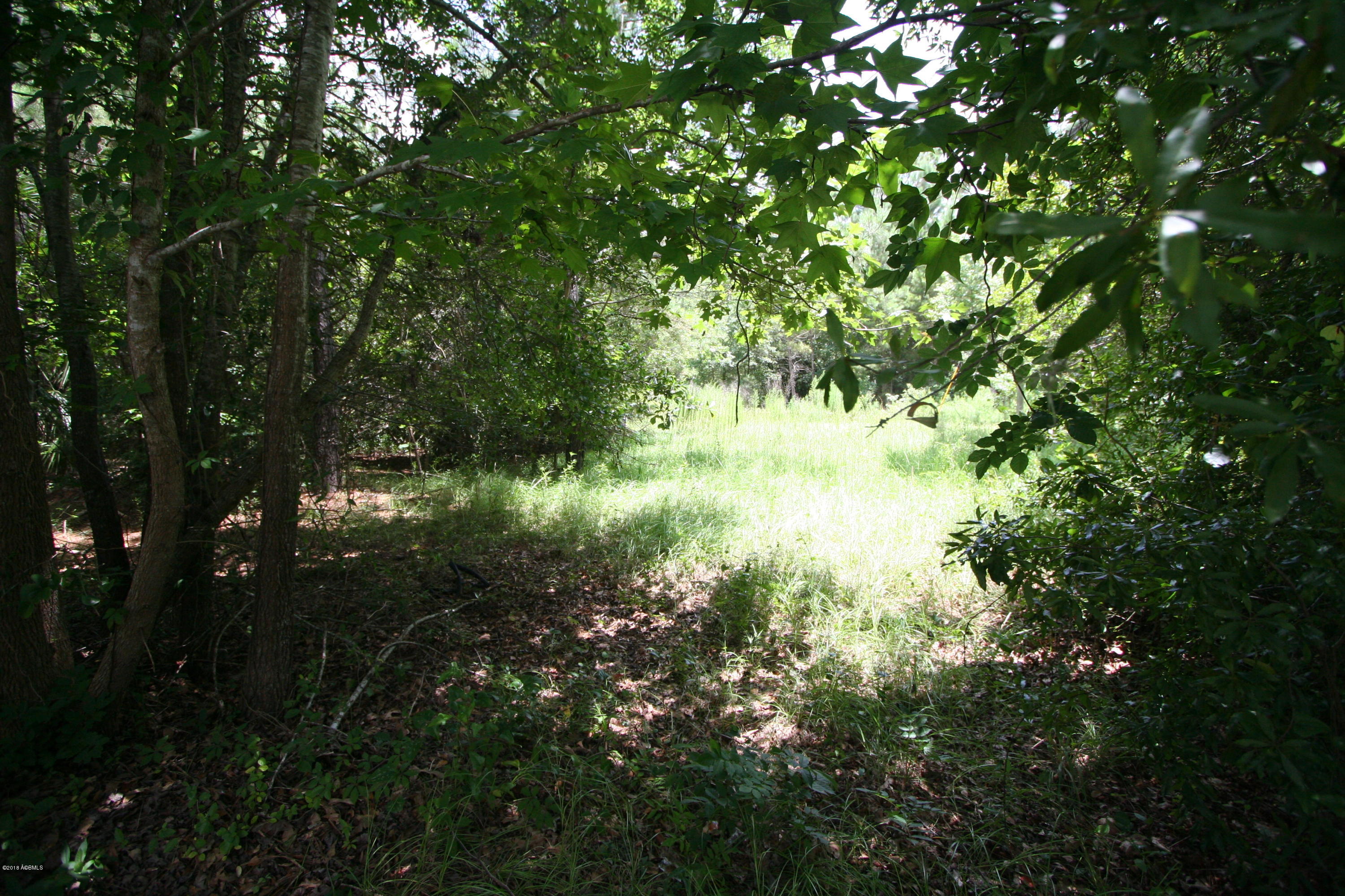 168 Castle Rock Road Beaufort, SC 29906 - Photo 5 of 17 IMG_7776