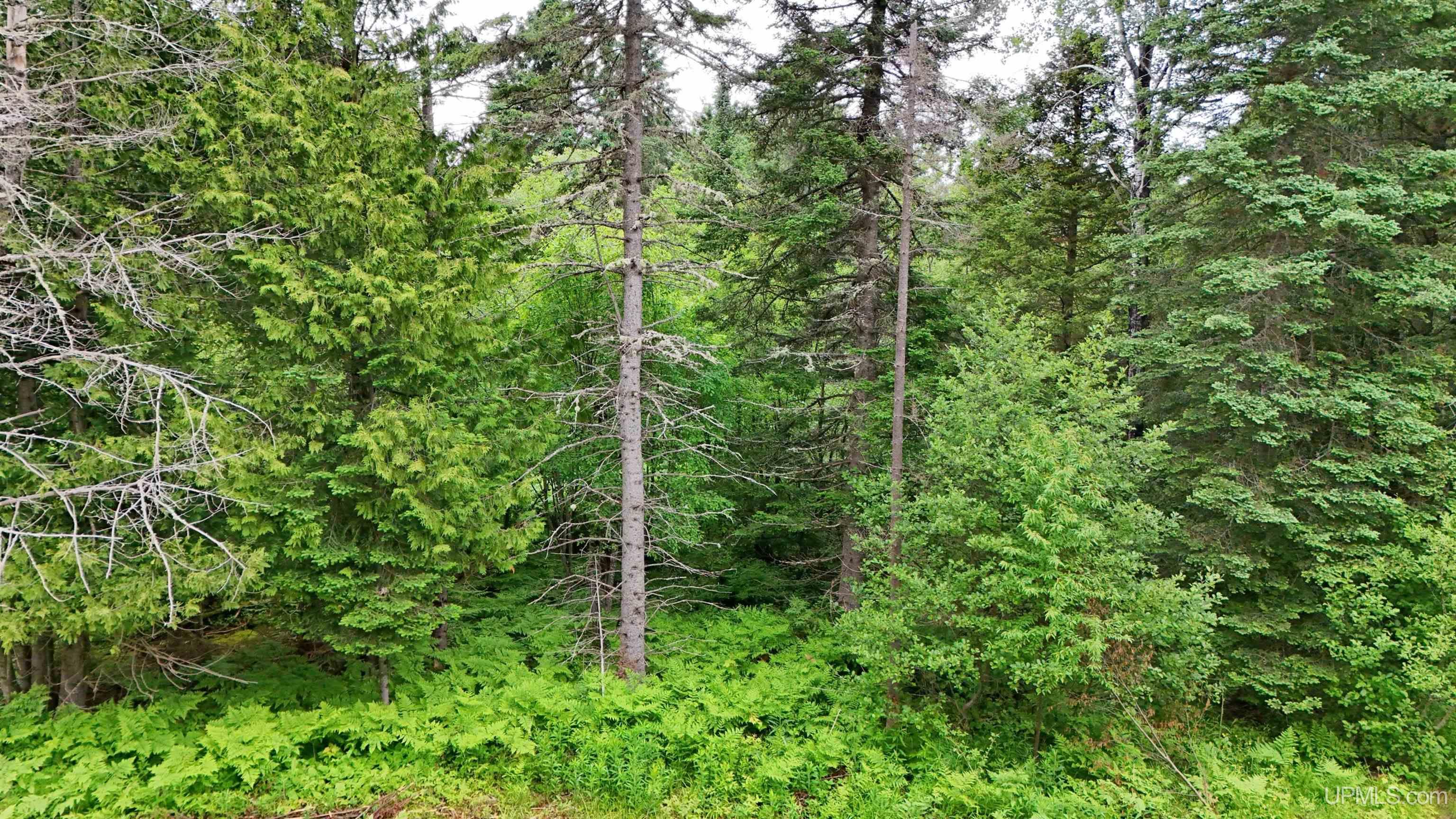 5.23 Messner Road Baraga, MI 49908 - Photo 16 of 18