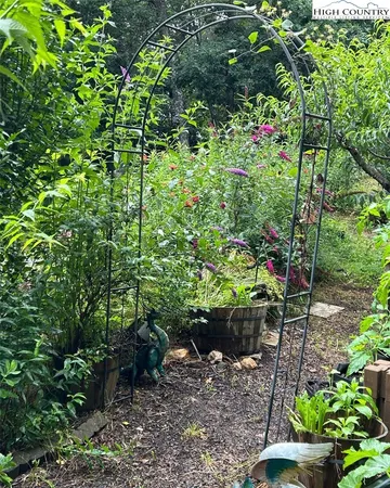 a wooden fence with some plants