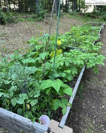 a view of a garden with sitting area