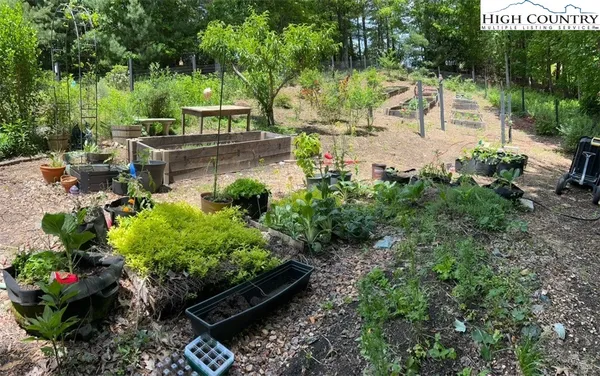 a view of a garden with flowers