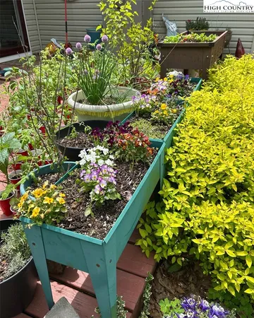 a view of a garden with patio