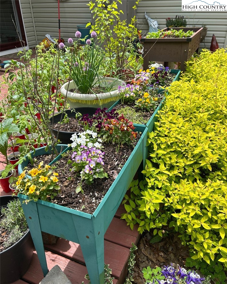 111 Peace Hill Road Fleetwood, NC 28626 - Photo 38 of 49 a view of a garden with flowers