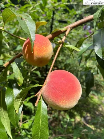 a wooden bench sitting in front of a building