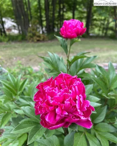 $410,000 | 111 Peace Hill Road, Fleetwood, NC 28626