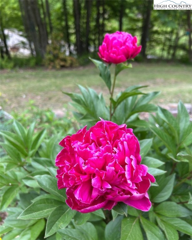 111 Peace Hill Road Fleetwood, NC 28626 - Photo 44 of 49 a view of a small barn in front of a house
