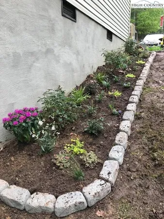 a view of a flower in a yard