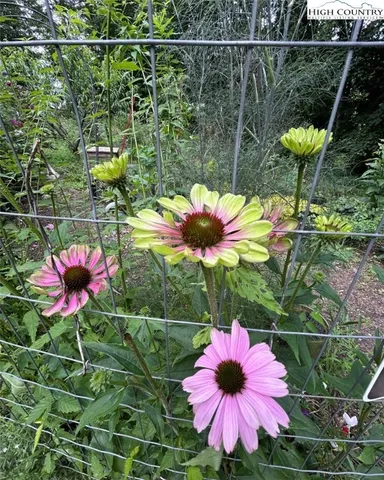 $410,000 | 111 Peace Hill Road, Fleetwood, NC 28626