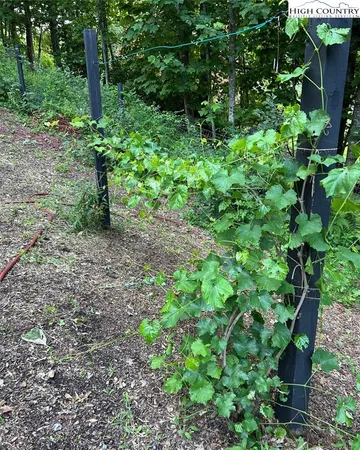 $410,000 | 111 Peace Hill Road, Fleetwood, NC 28626