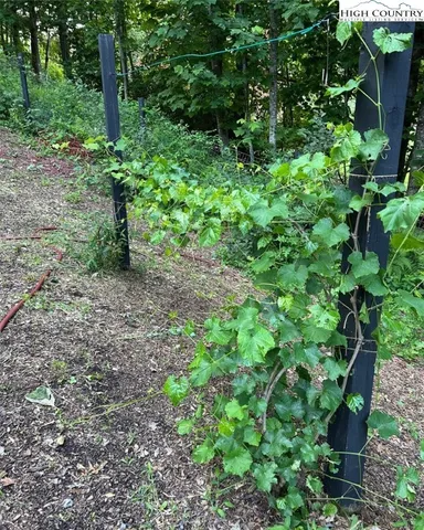 $410,000 | 111 Peace Hill Road, Fleetwood, NC 28626