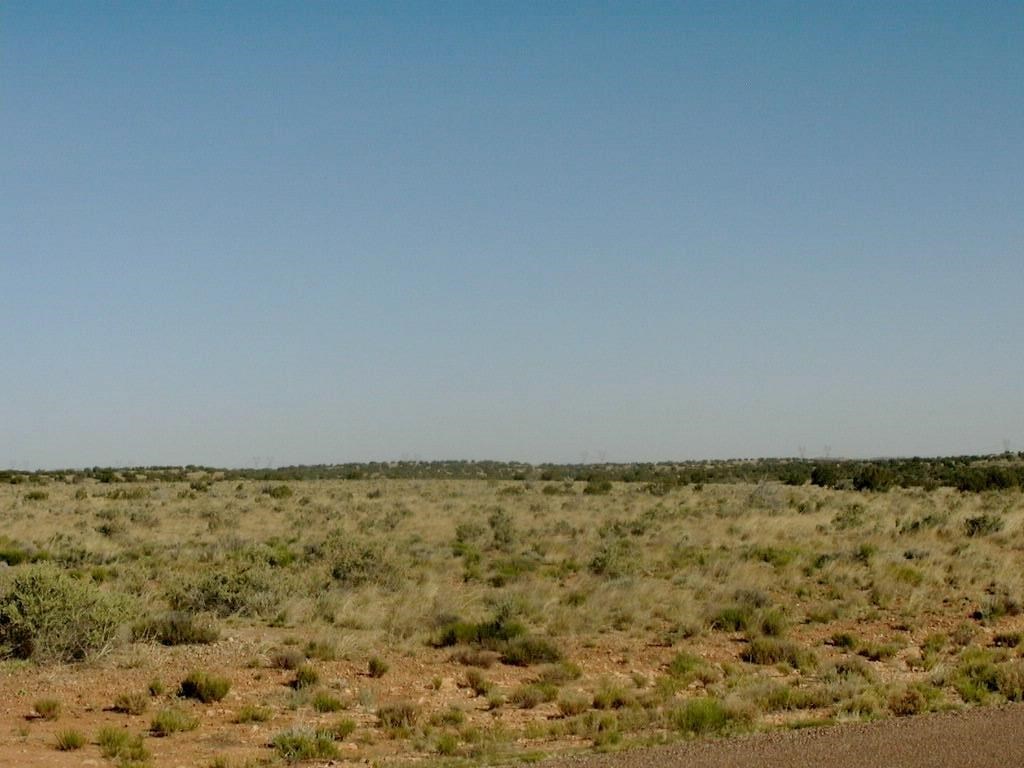7700 Ghost Tree Trail Snowflake, AZ 85937 - Photo 3 of 5