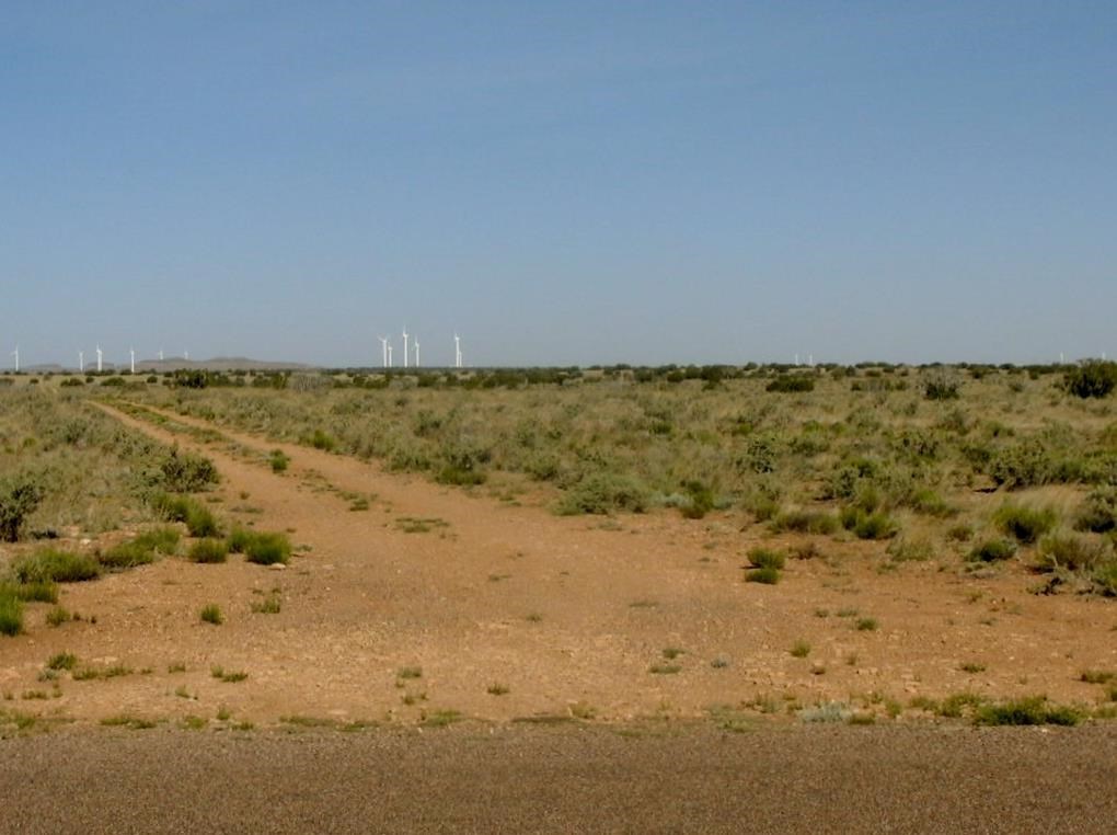 7700 Ghost Tree Trail Snowflake, AZ 85937 - Photo 4 of 5