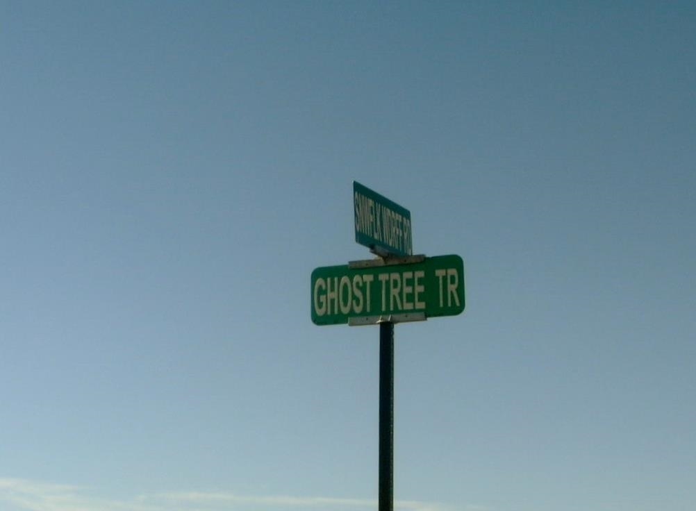 7700 Ghost Tree Trail Snowflake, AZ 85937 - Photo 5 of 5