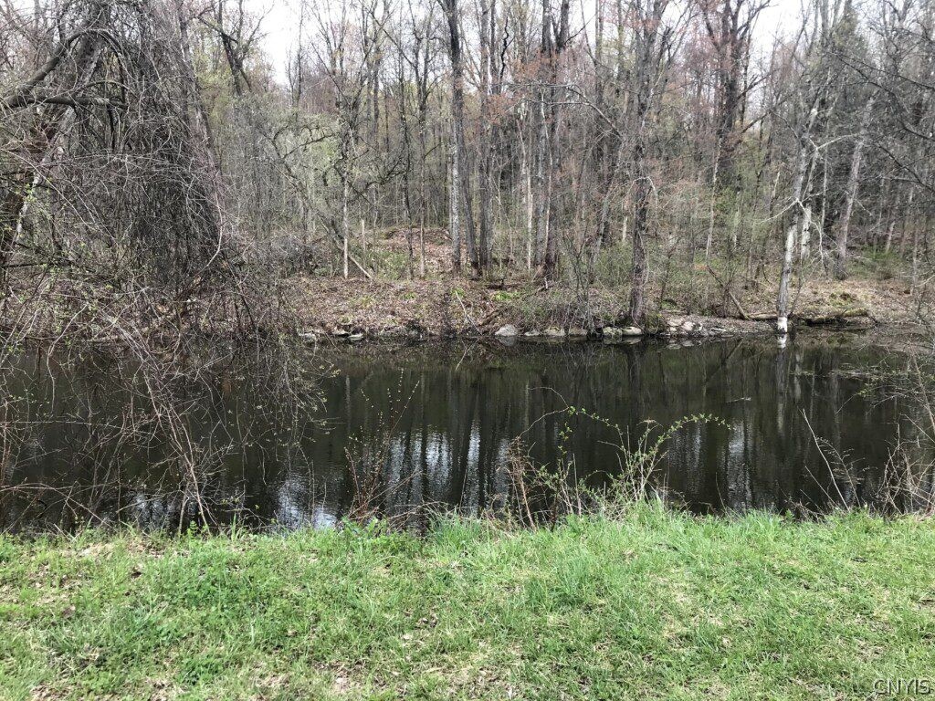 0 Reber Road Rome, NY 13440 - Photo 1 of 1