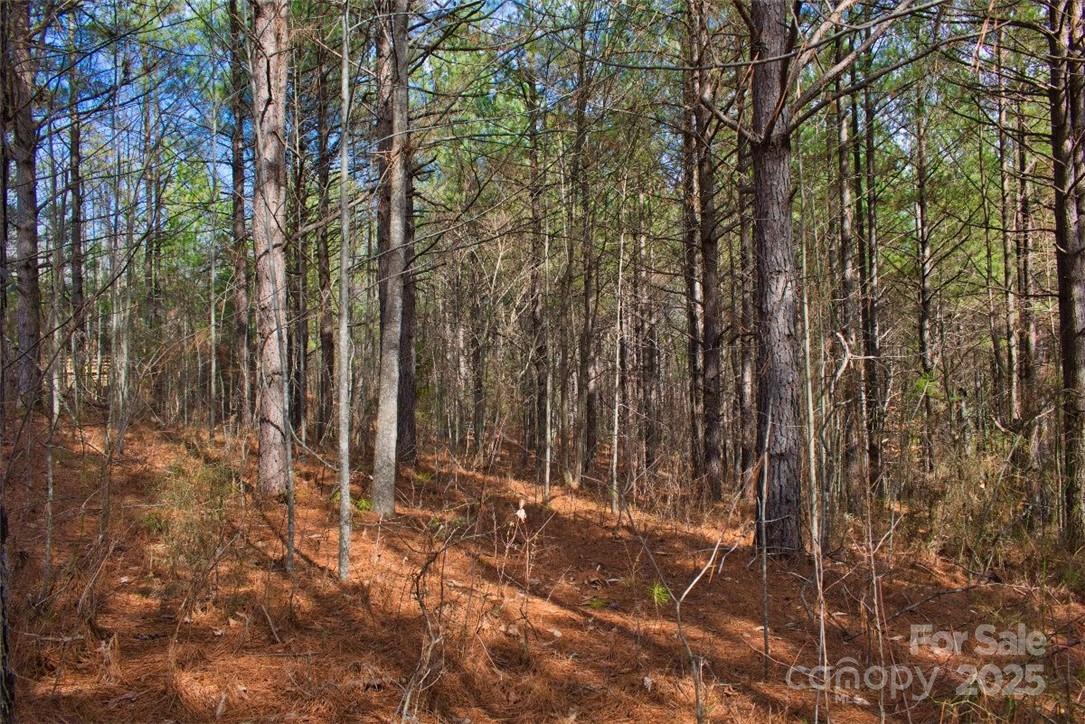 0 Bitterroot Circle, Unit 224 Rutherfordton, NC 28139 - Photo 4 of 4 Gallery Image 4