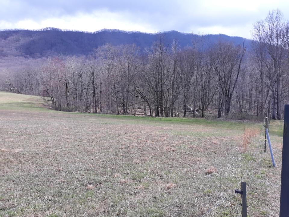 Tbd Old Mountain Road Greeneville, TN 37743 - Photo 1 of 3 IMG_0667