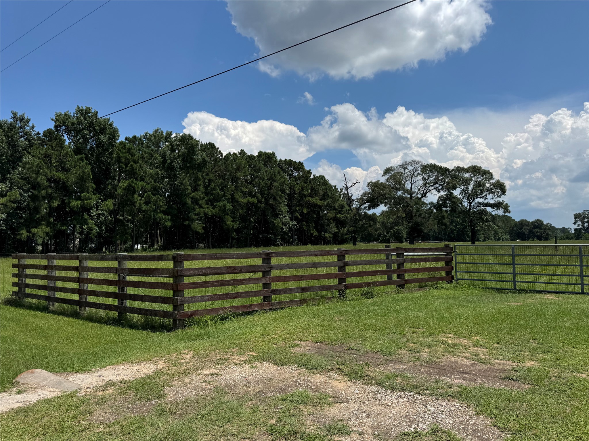 27787 Riley Road Waller, TX 77484 - Photo 2 of 3 a view of outdoor space with garden and trees