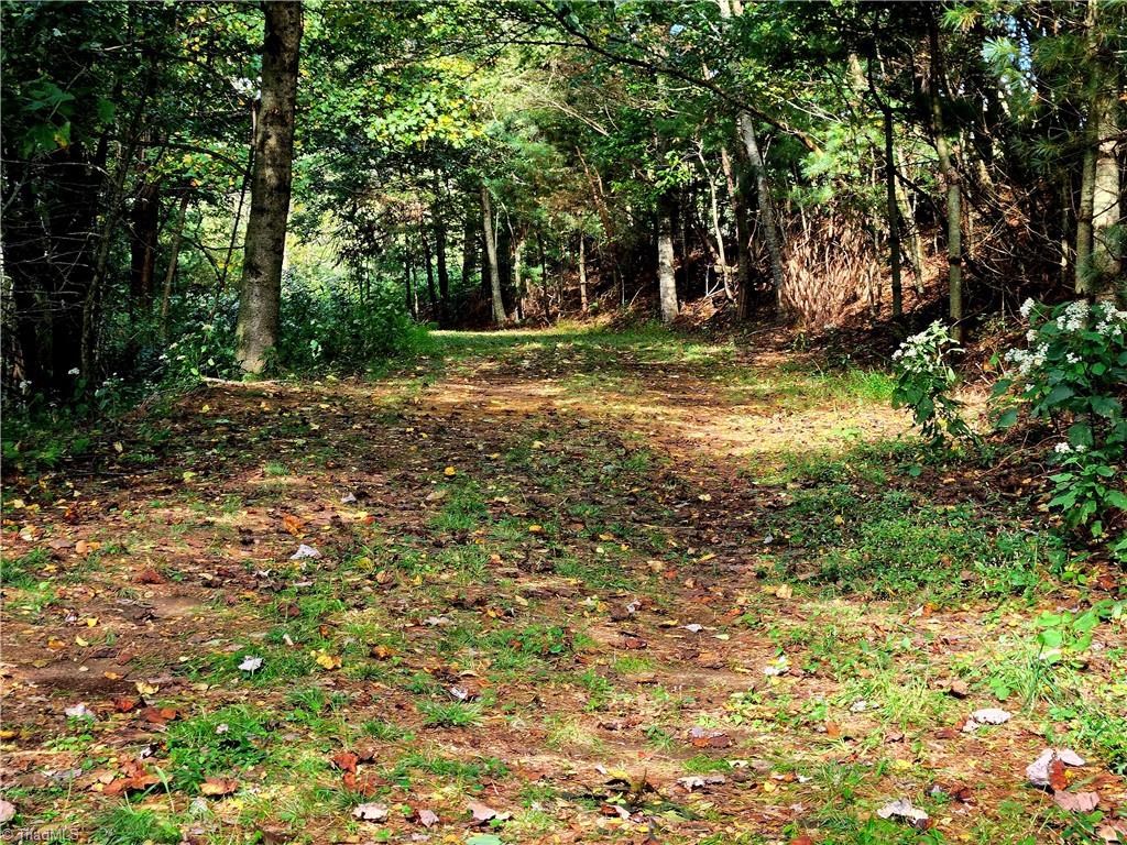 Tbd Blue Ridge Church Road Purlear, NC 28665 - Photo 11 of 22