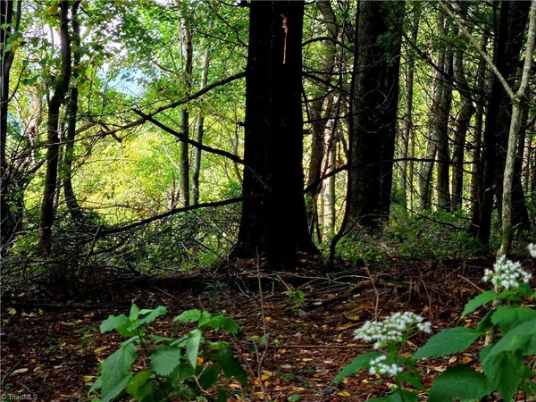 $498,000 | Tbd Blue Ridge Church Road, Purlear, NC 28665