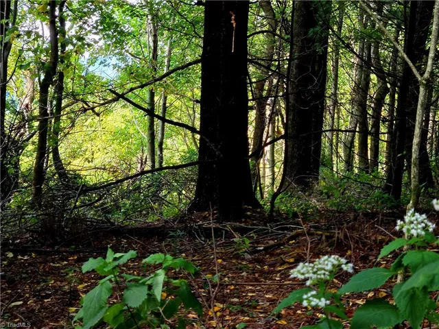 $498,000 | Tbd Blue Ridge Church Road, Purlear, NC 28665