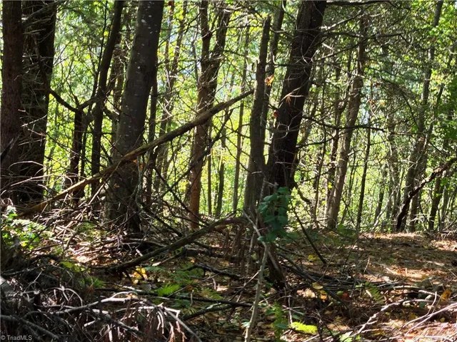 $498,000 | Tbd Blue Ridge Church Road, Purlear, NC 28665