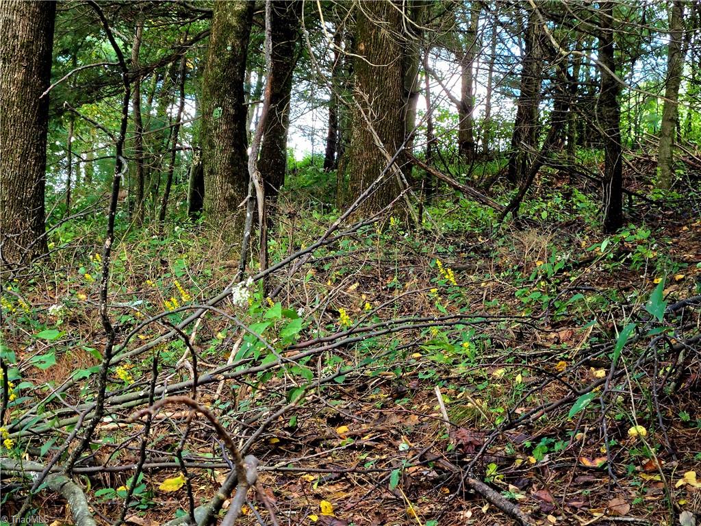 Tbd Blue Ridge Church Road Purlear, NC 28665 - Photo 14 of 22