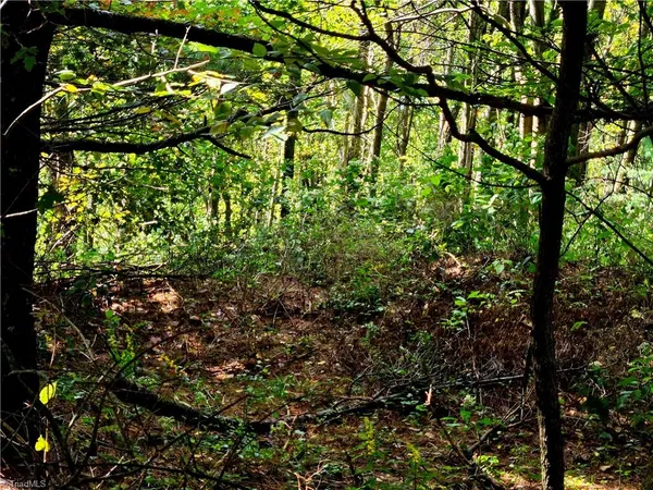 $498,000 | Tbd Blue Ridge Church Road, Purlear, NC 28665