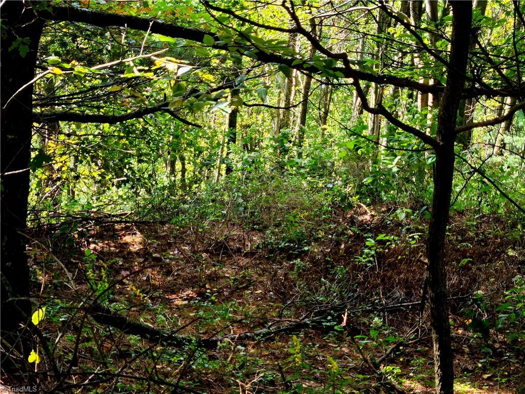 Tbd Blue Ridge Church Road Purlear, NC 28665 - Photo 15 of 22