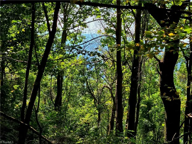 $498,000 | Tbd Blue Ridge Church Road, Purlear, NC 28665