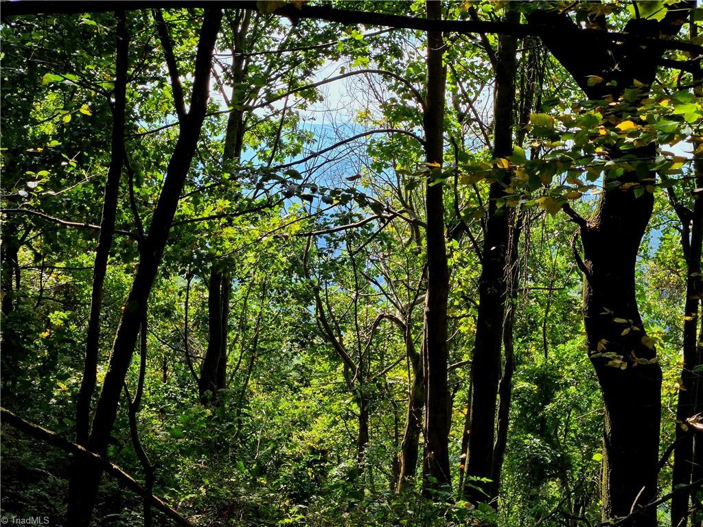 Tbd Blue Ridge Church Road Purlear, NC 28665 - Photo 16 of 22