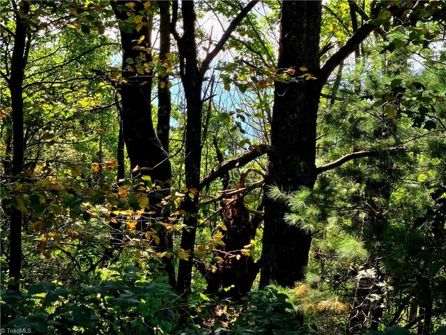 $498,000 | Tbd Blue Ridge Church Road, Purlear, NC 28665