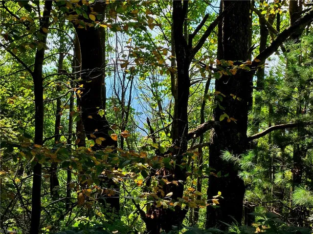 $498,000 | Tbd Blue Ridge Church Road, Purlear, NC 28665