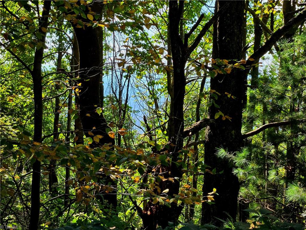 Tbd Blue Ridge Church Road Purlear, NC 28665 - Photo 18 of 22