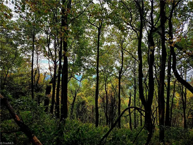 $498,000 | Tbd Blue Ridge Church Road, Purlear, NC 28665