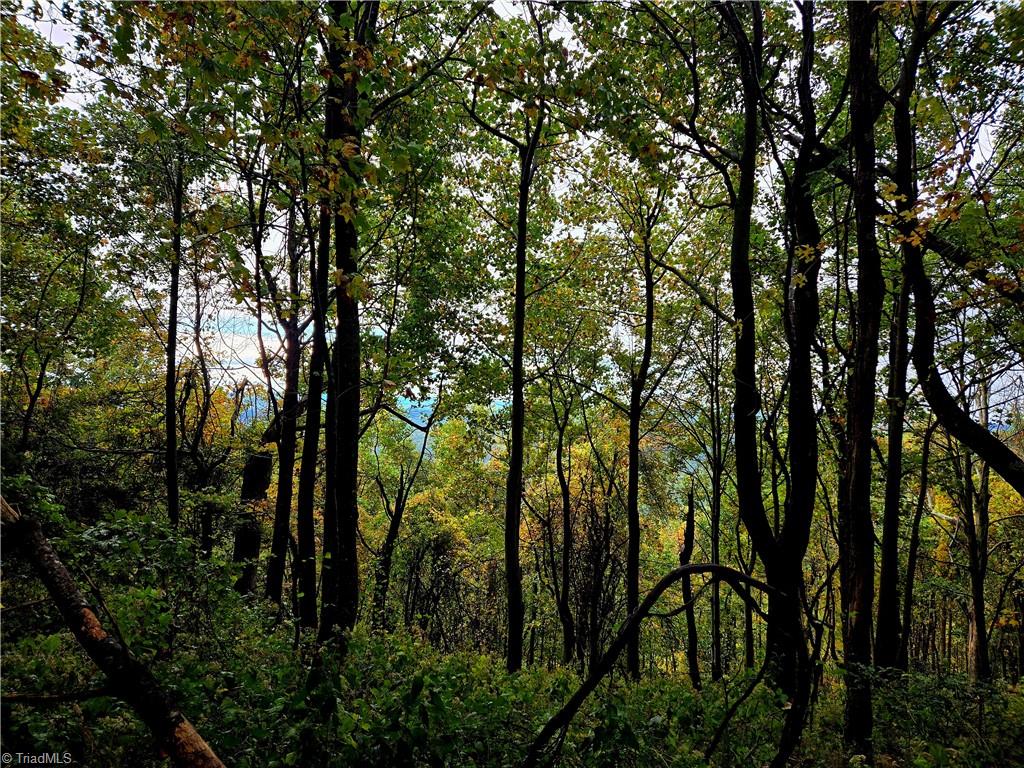 Tbd Blue Ridge Church Road Purlear, NC 28665 - Photo 19 of 22