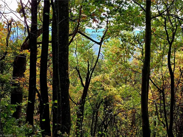 $498,000 | Tbd Blue Ridge Church Road, Purlear, NC 28665