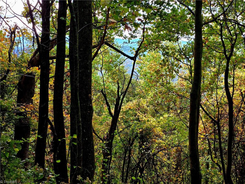 Tbd Blue Ridge Church Road Purlear, NC 28665 - Photo 20 of 22