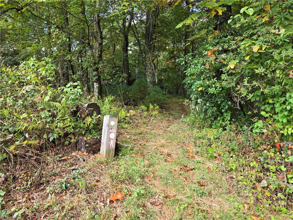 Tbd Blue Ridge Church Road Purlear, NC 28665 - Photo 22 of 22