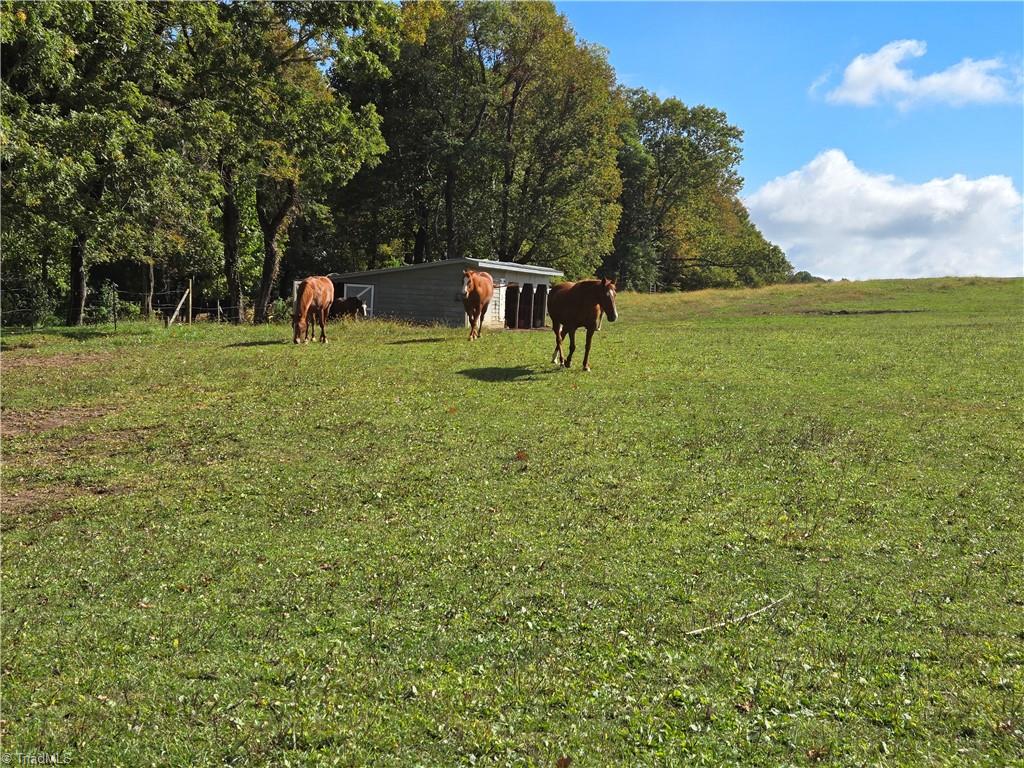 Tbd Blue Ridge Church Road Purlear, NC 28665 - Photo 3 of 22