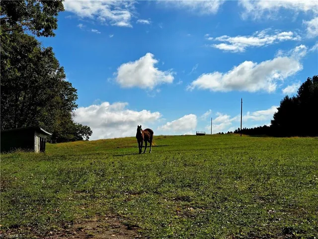 $498,000 | Tbd Blue Ridge Church Road, Purlear, NC 28665